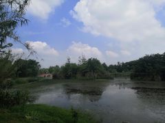 -白鹭湾湿地公园