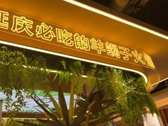 -旧县羊蝎子(旧县店)