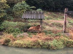 -宁波野生动物园