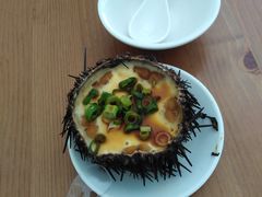 -海胆小馆(东北水饺·春柳店)