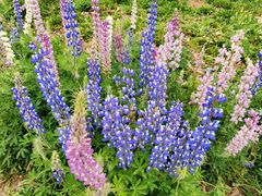 -白鹭湾湿地公园