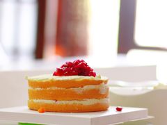 -咖咖熊蛋糕定制·蓝风车动物奶油