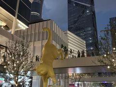 -深圳湾万象城(南山店)