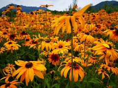 -本溪老边沟风景区