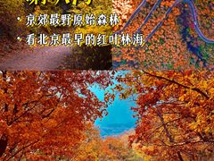 -北京石刻艺术博物馆(五塔寺)