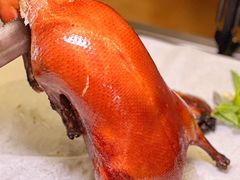 -秀儿四九城·新京菜(亚运村鸟巢店)