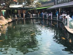 -湖鲜楼