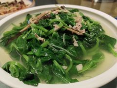 豆苗-客家汇·客家传承菜(水库店)