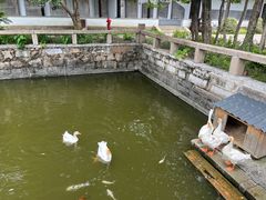 -苏州文庙(姑苏区)