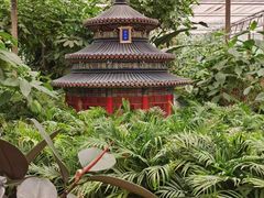 -南宫五洲植物乐园