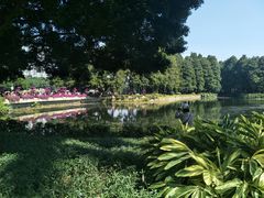 -阿一猪红汤(东风西路店)