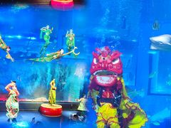 -正佳极地海洋世界