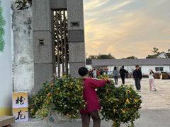 -苏州市吴中区光福窑上花果蜜饯厂