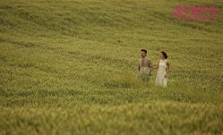 -施华洛婚纱摄影会所(范阳中路店)