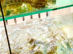 -凯华海鲜火锅·传承三十六年