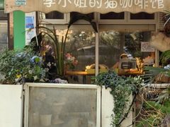 -李小姐の猫咖啡馆(五角场店)