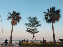 -黄金海岸环岛路