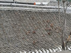 -遥桥古堡