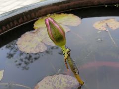 -杭州植物园