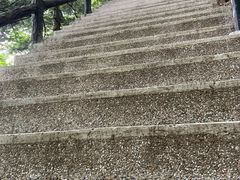 -王顺山国家森林公园