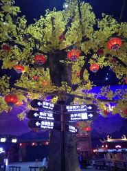 -南京万达乐园