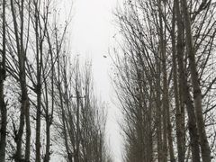-呀路古热带植物园
