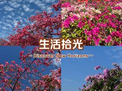 -盈香心动乐园