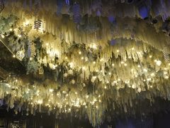 -丽华园(汉阳龙阳店)