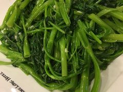 -麒麟中餐厅·经典粤菜·地道菜式老字号(广州长隆酒店)