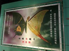 -上海昆虫博物馆