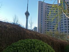 -中国人民解放军空军特色医学中心(空军总医院)