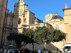 -瓦伦西亚大教堂