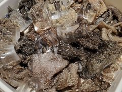 捞派毛肚-海底捞火锅(高新万达店)