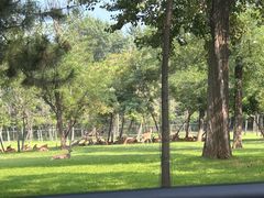 -秦皇岛野生动物园