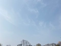 -洋湖国家湿地公园