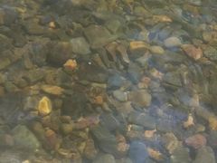 -青龙双河漂流