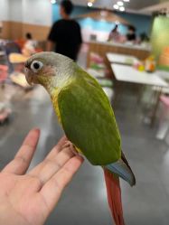-Moni星球萌宠·小马宝莉·灵蛇·高端高阶全萌宠互动体验俱乐部(红豆国际广场店)