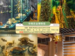-广东中医药博物馆
