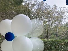 -虹之森·小馆