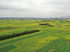 -牛街螺丝田