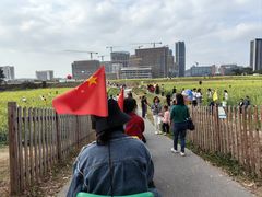 -光明小镇欢乐田园