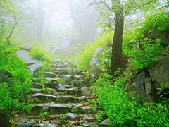 -阳台山自然风景区