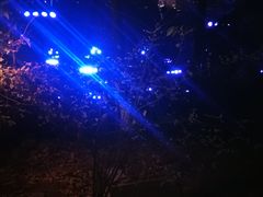 -龟山风景区-龟山电视塔