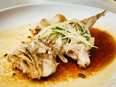 石头鱼-花城苑广府菜(侨鑫店)