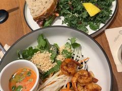 -Wagas沃歌斯(汇智店)