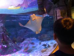 -沈阳海洋探索中心