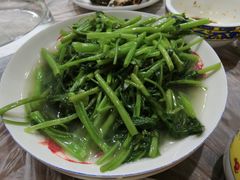 -老品芳