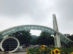 -南山植物园