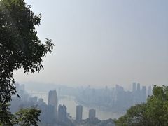-南山植物园
