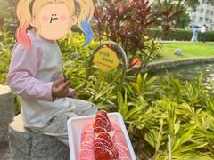 -晓港公园